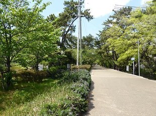 香櫨園駅 徒歩7分 1階の物件内観写真